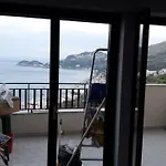 Andreana * 레토이아니